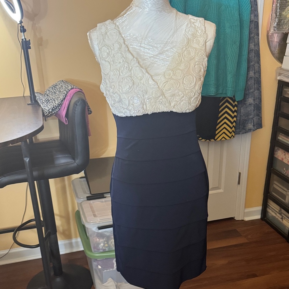 Enfocus Studio Navy and Cream Mini Dress